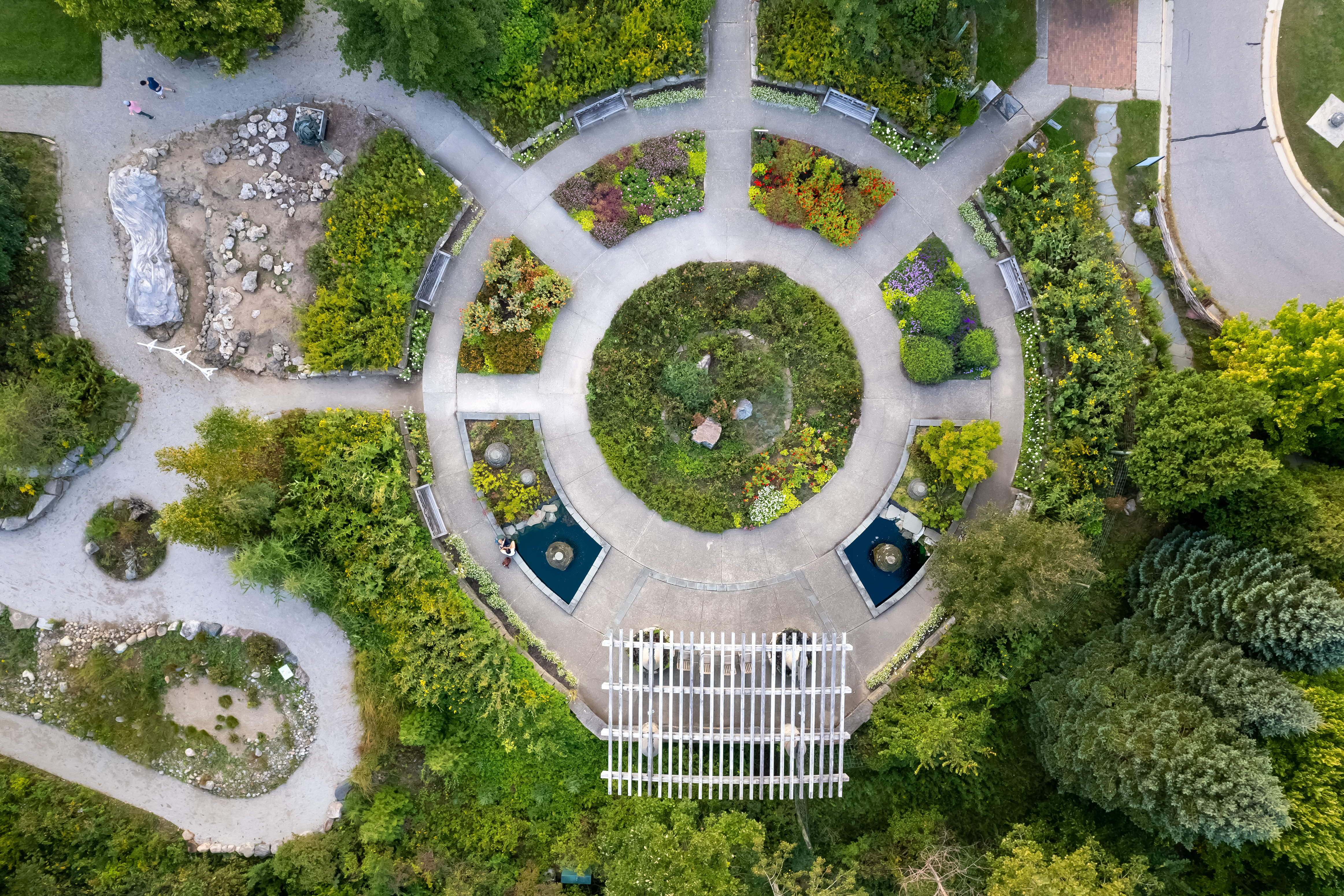 Discovering Campus Botanical Treasures