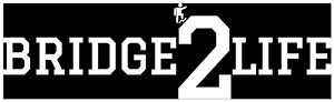 Bridge 2 Life (B2L) logo