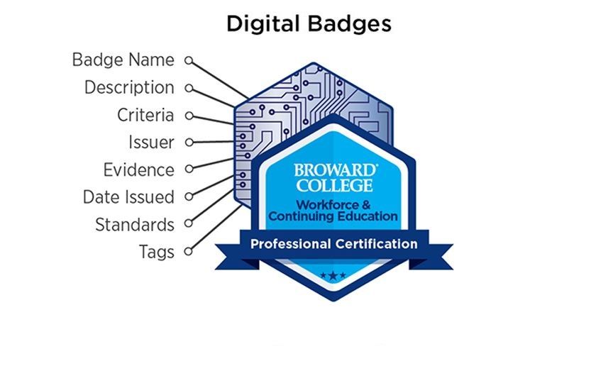 cd badge anatomy