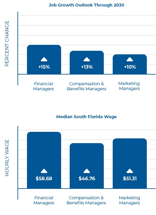 Business & Project Managers