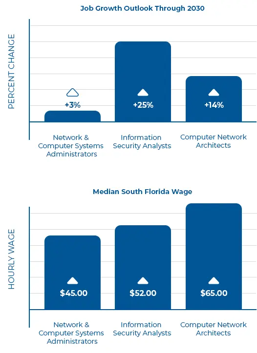 Cybersecurity Analysts