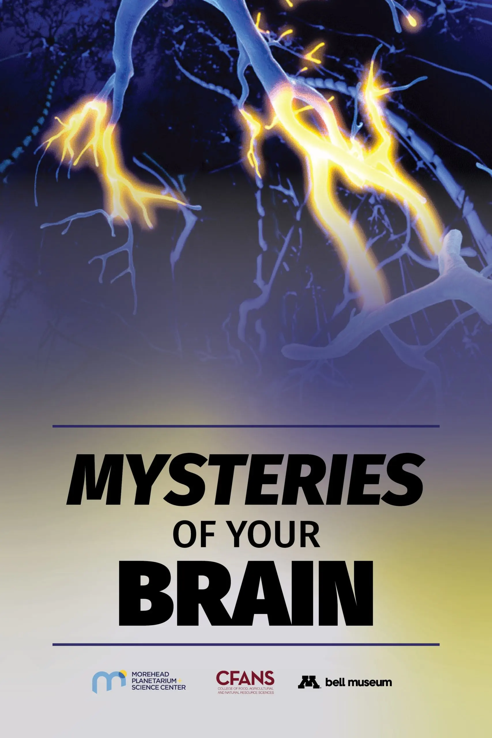mysteries of the brain poster